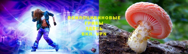 прущие грибы Балахна
