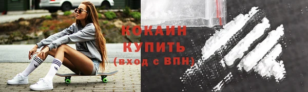 прущие грибы Балахна