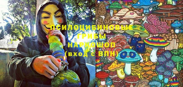 ГАЛЛЮЦИНОГЕННЫЕ ГРИБЫ Баксан