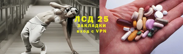 прущие грибы Балахна