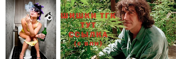 ГАЛЛЮЦИНОГЕННЫЕ ГРИБЫ Баксан