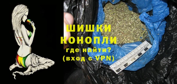 прущие грибы Балахна